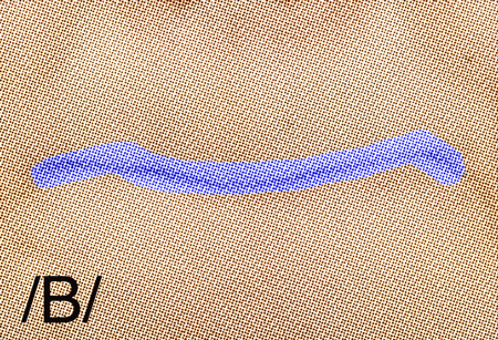 Sonrie baby! que cool es un rato